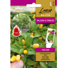 Hot Pepper Vulcain - Seeds
