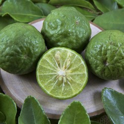 Kaffir lime - Seeds
