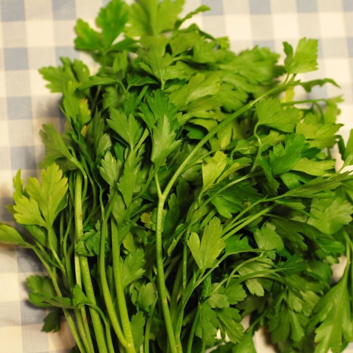 Parsley, smooth sheet - 500 seeds
