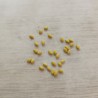 Canterbury bells, Rose - 10 pelleted seeds