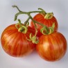 Tomato Tigerella - Seeds