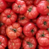 Tomato Beefsteak - Seeds