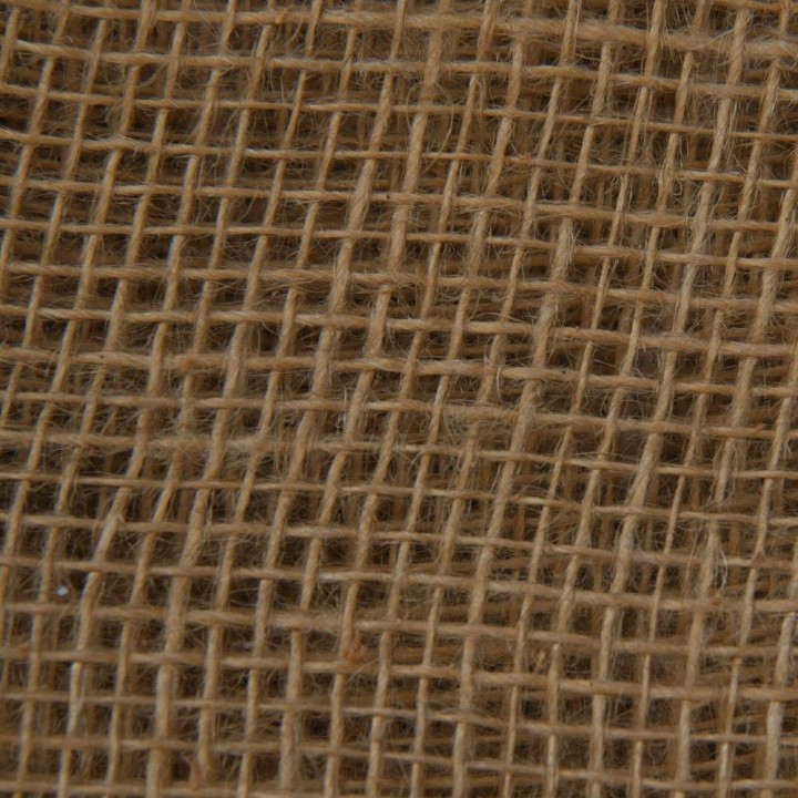 Jute - Seeds