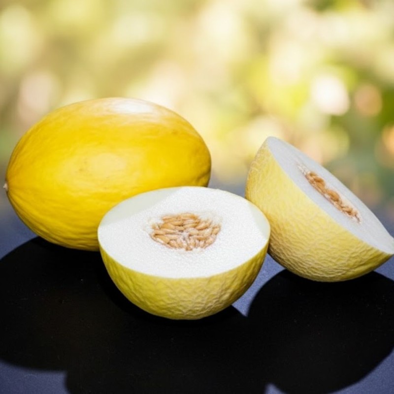 Melon, Yellow Canary - Seeds