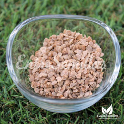 Tomato, Marglobe - Seeds