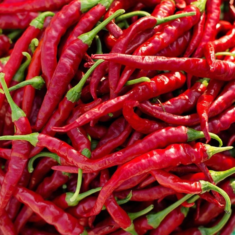 Hot pepper, Cayena - Seeds
