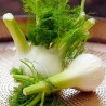 Fennel, Florence sweet - Seeds