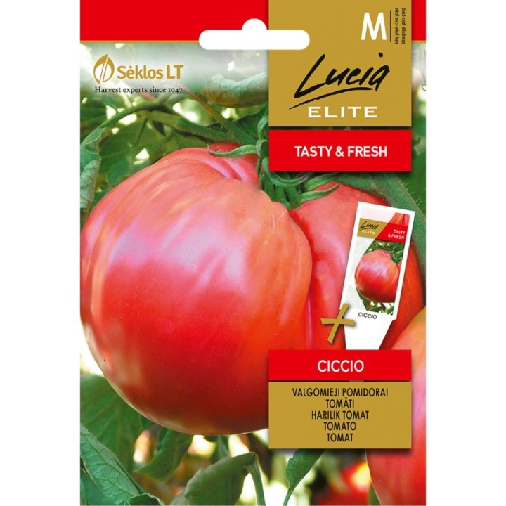 Tomato Ciccio - Seeds