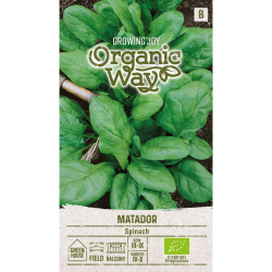 Spinach, Matador (Organic) - Seeds