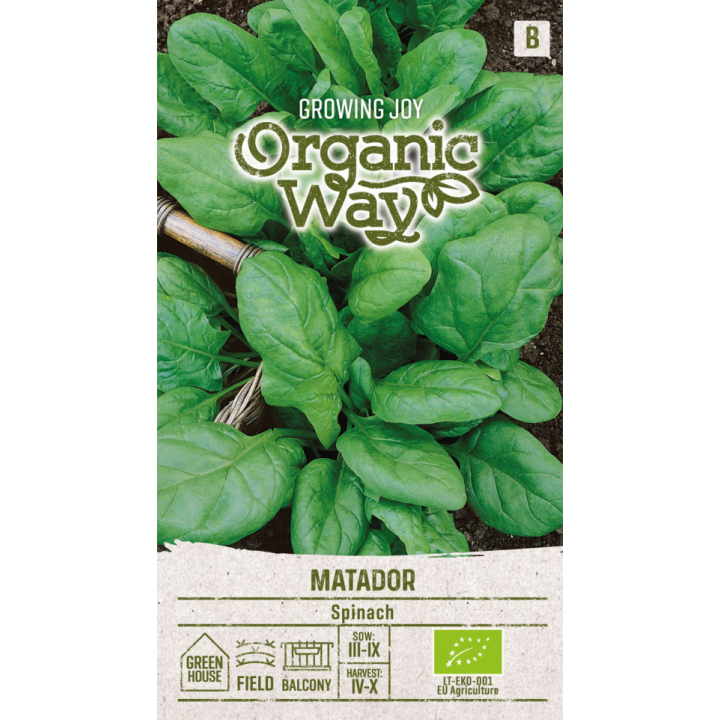 Spinach Matador - Seeds