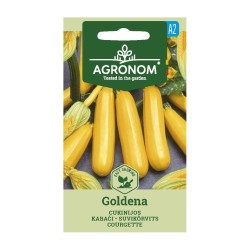 Zucchini, Goldena - Seeds