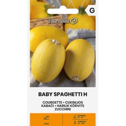 Zucchini, Baby Spaghetti - Seeds