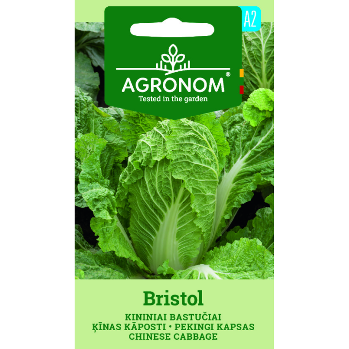 Chinese cabbage - 65 seeds