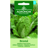 Chinese cabbage Bristol - Seeds