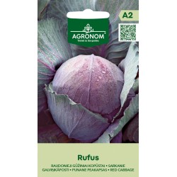 Cabbage Red Rufus - Seeds