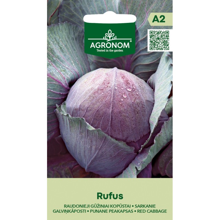Savoy cabbage, Milán Aubervillers - Seeds