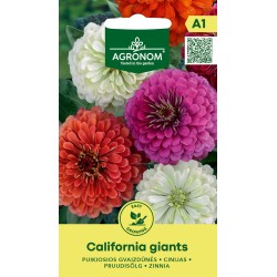 Zinnia Сalifornia Giants - Seeds