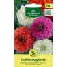 Zinnia Сalifornia Giants - Seeds