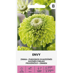 Zinnia Envy - Seeds