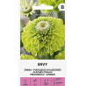 Zinnia Envy - Seeds