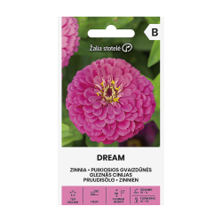 Zinnia Dream - Seeds