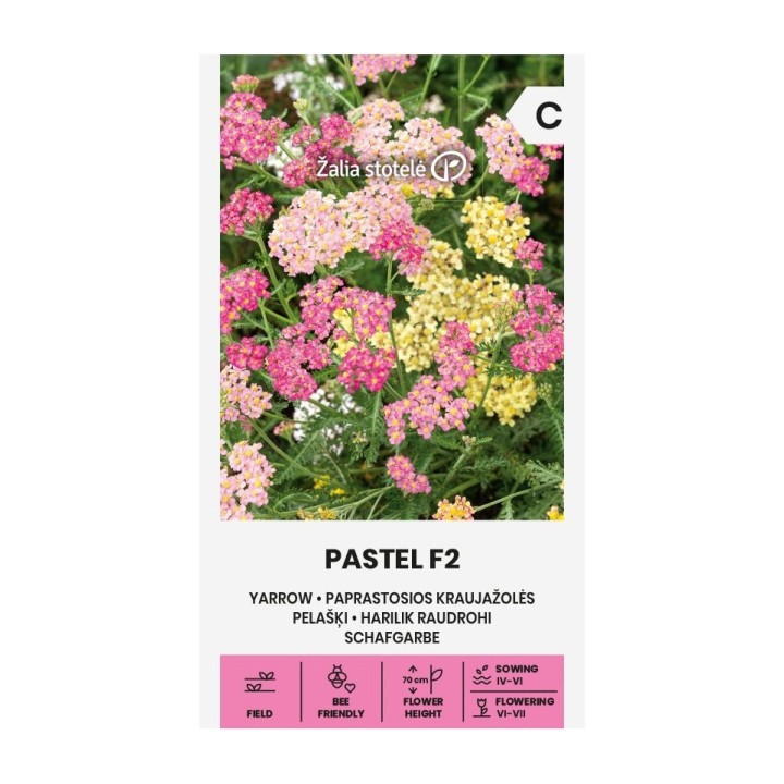 Yarrow Summer Pastels Mix SEEDS (AmongSeeds)