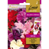 Sweet pea, Ruffled - Seeds