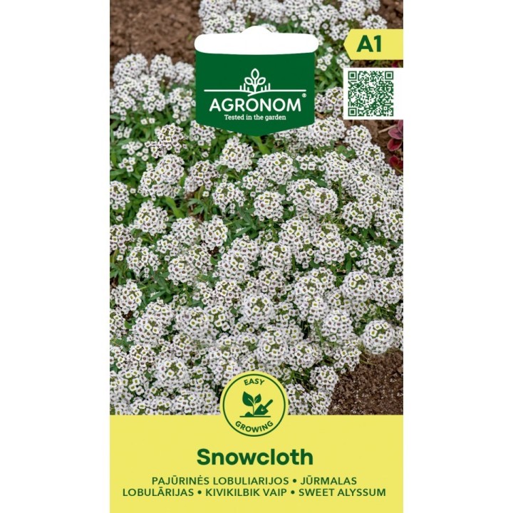 Sweet Alyssum seeds (Lobularia maritima)