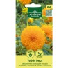 Dwarf Sunflower, Teddy Bear - Seeds
