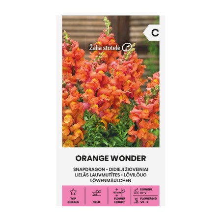 Snapdragon, Orange Wonder - Seeds