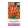 Snapdragon, Orange Wonder - Seeds