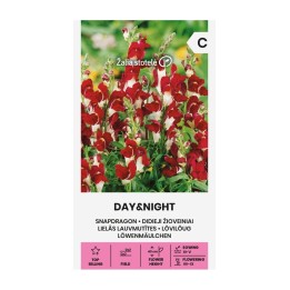 Snapdragon, Day&Night - Seeds