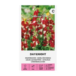 Snapdragon, Day&Night - Seeds