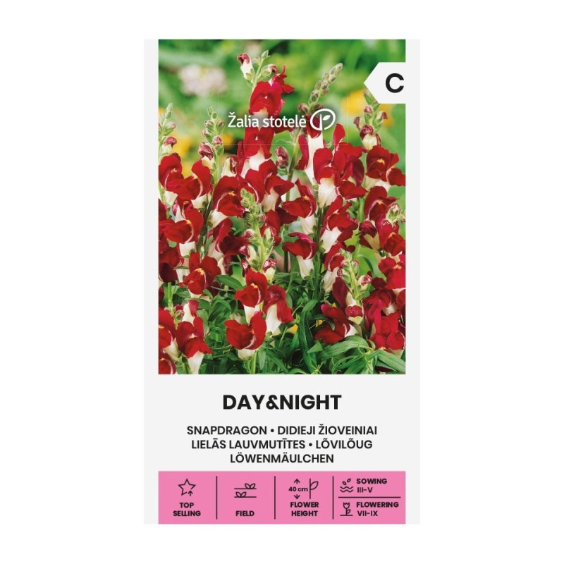Snapdragon, Day&Night - Seeds