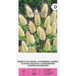 Rabbit's Tail Grass - Seeds