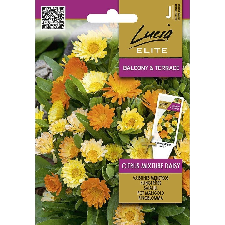 Pot Marigold Citrus Mixture - Seeds
