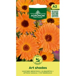 Pot Marigold Art Shades - Seeds
