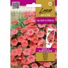Petunia Velvet H Salmon Shades - Seeds