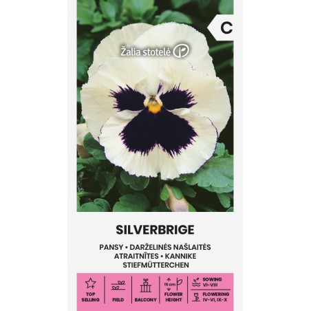 Pansy Silverbride - Seeds