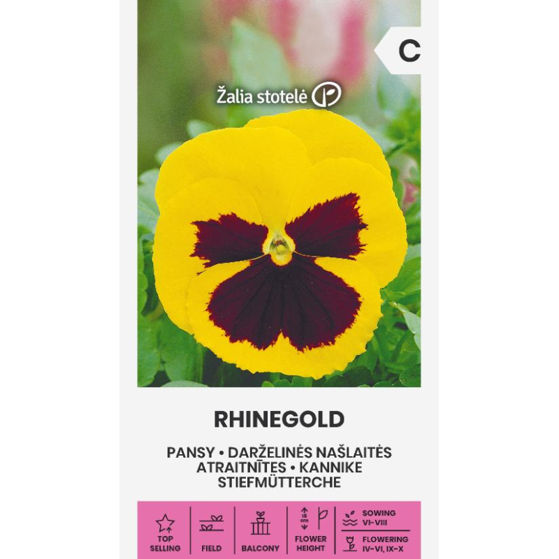 Pansy Rhinegold - Seeds