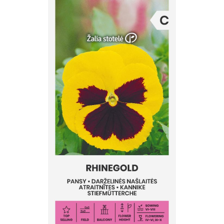 Pansy Rhinegold - Seeds