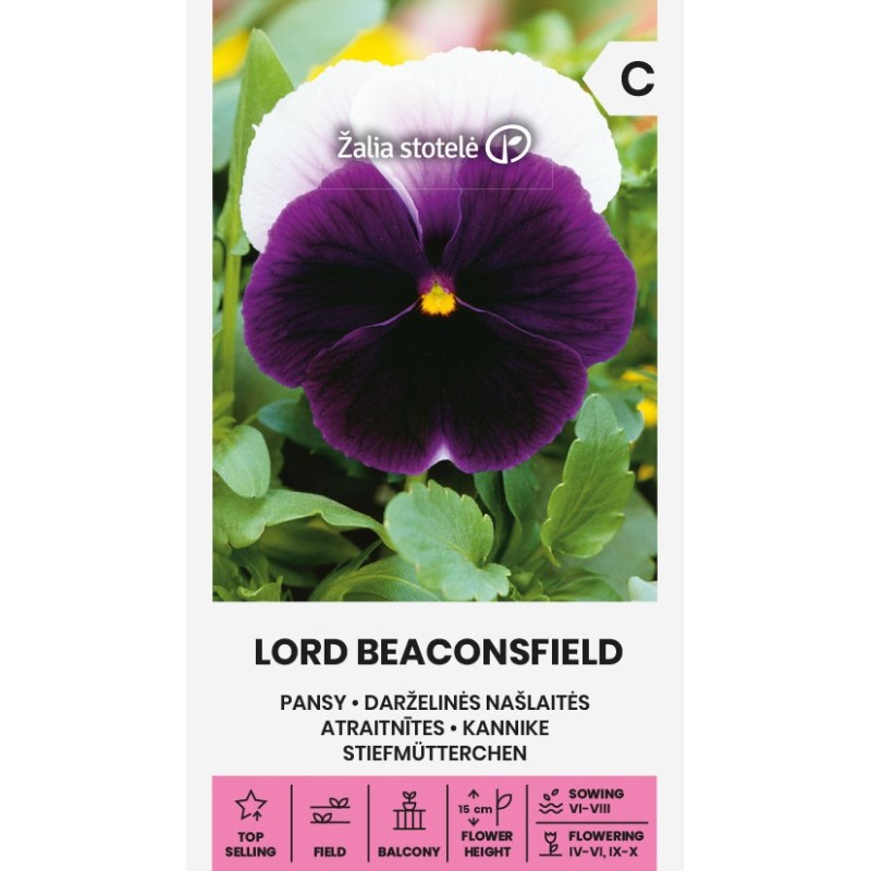 Pansy Lord Beaconsfield - Seeds
