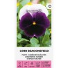 Pansy Lord Beaconsfield - Seeds
