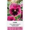 Pansy Laura - Seeds