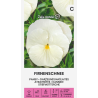 Pansy Firnenschnee - Seeds