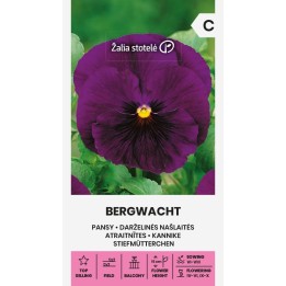 Pansy Bergwacht - Seeds