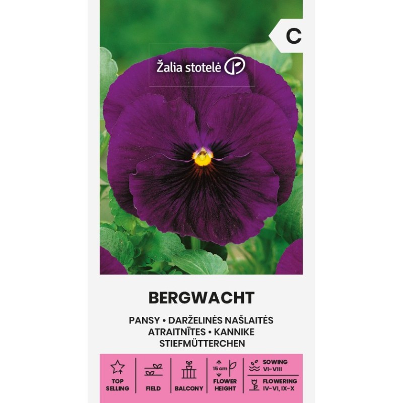 Pansy Bergwacht - Seeds