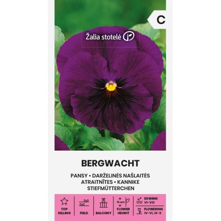 Pansy Bergwacht - Seeds