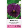 Pansy Bergwacht - Seeds