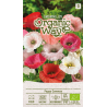 Common Poppy Mix - Seeds